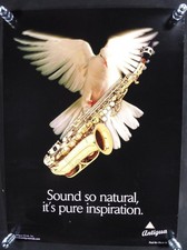 Older Antigua Winds Dove with